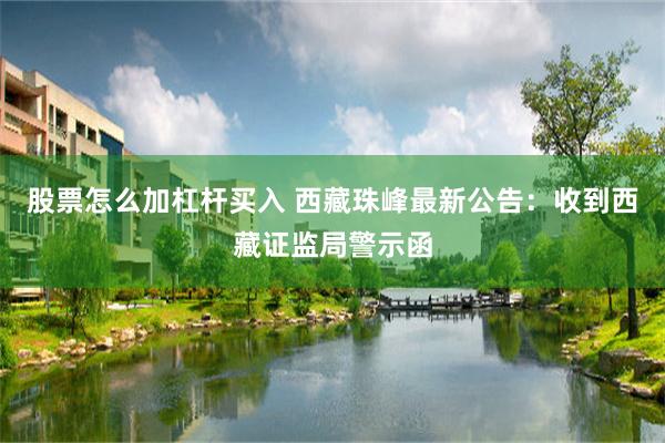 股票怎么加杠杆买入 西藏珠峰最新公告：收到西藏证监局警示函
