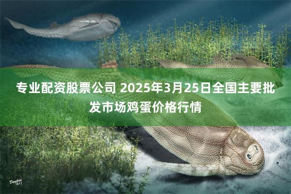 专业配资股票公司 2025年3月25日全国主要批发市场鸡蛋价格行情