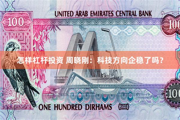 怎样杠杆投资 周晓刚：科技方向企稳了吗？
