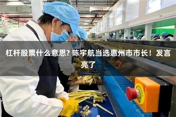 杠杆股票什么意思? 陈宇航当选惠州市市长！发言亮了